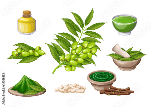 Neem set vector illustration. Cartoon isolated green tree twig with leaves and fruits and neem oil in bottle, mortar and pestle with leaf, organic powder, alternative remedy of Ayurveda medicine