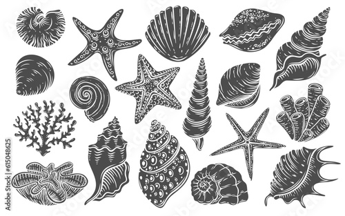 Seashell glyph icon vector illustration. Stamp of tropical marine animals with shells, underwater fauna of sea and ocean, aquarium collection with starfish and clam shell, shellfish mollusk and snail