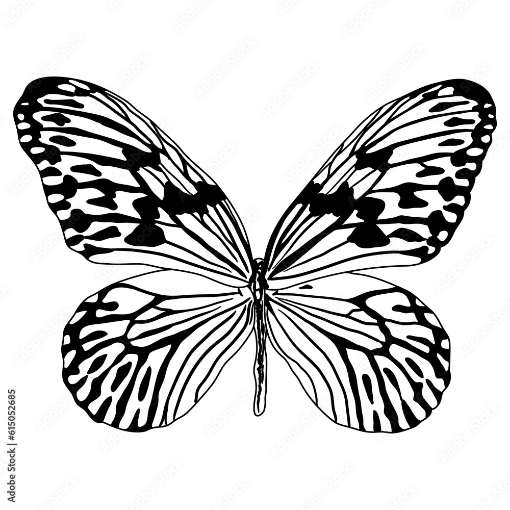 Embark on a whimsical journey with this captivating black-and-white butterfly design. Designed for coloring books, this enchanting artwork encourages children to bring butterflies to life.