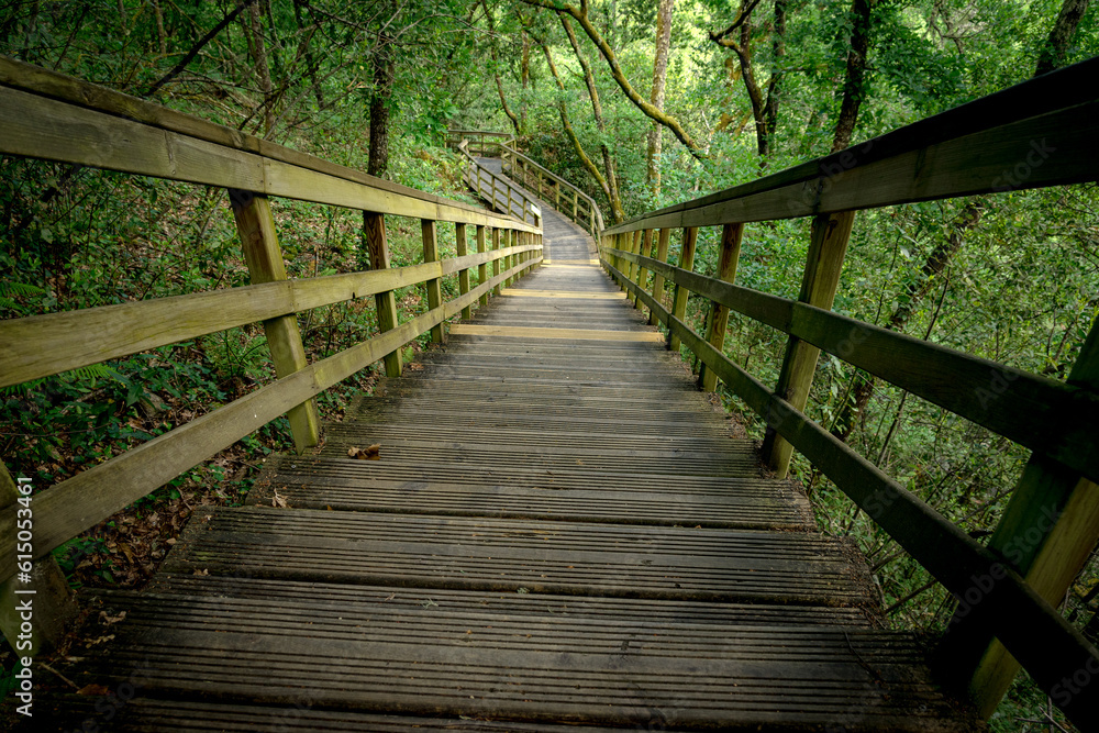 Fototapeta premium Wooden footpath in the canyon of the river Mao in the Ribeira Sacra, Ourense, Galicia, Spain