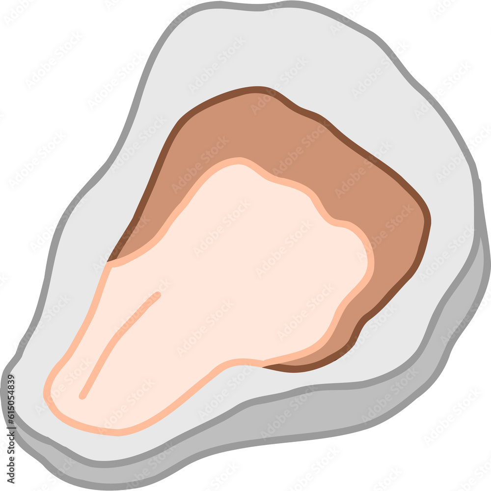 Fresh opened oyster hand draw Fresh opened oyster hand draw