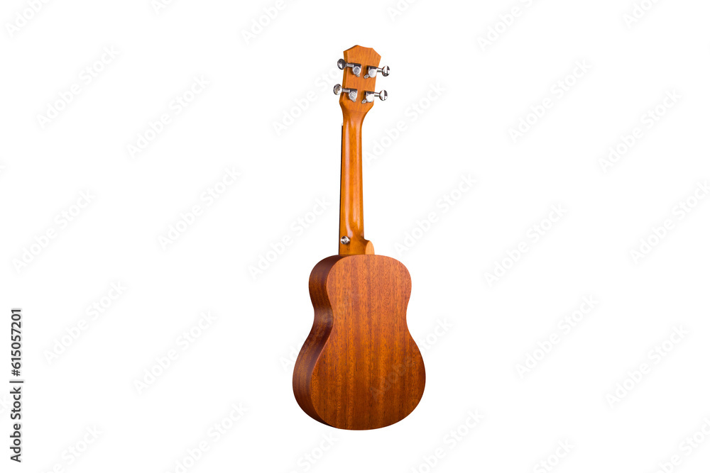 Fototapeta premium Colorful and lovely Ukri instruments