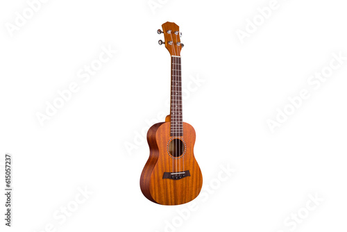 Colorful and lovely Ukri instruments