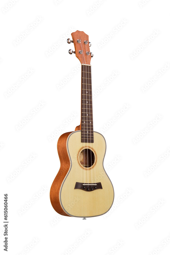 Colorful and lovely Ukri instruments Colorful and lovely Ukri instruments