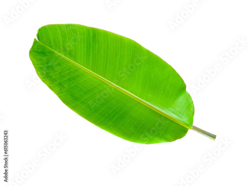 Banana Leaf isolated on transparent png