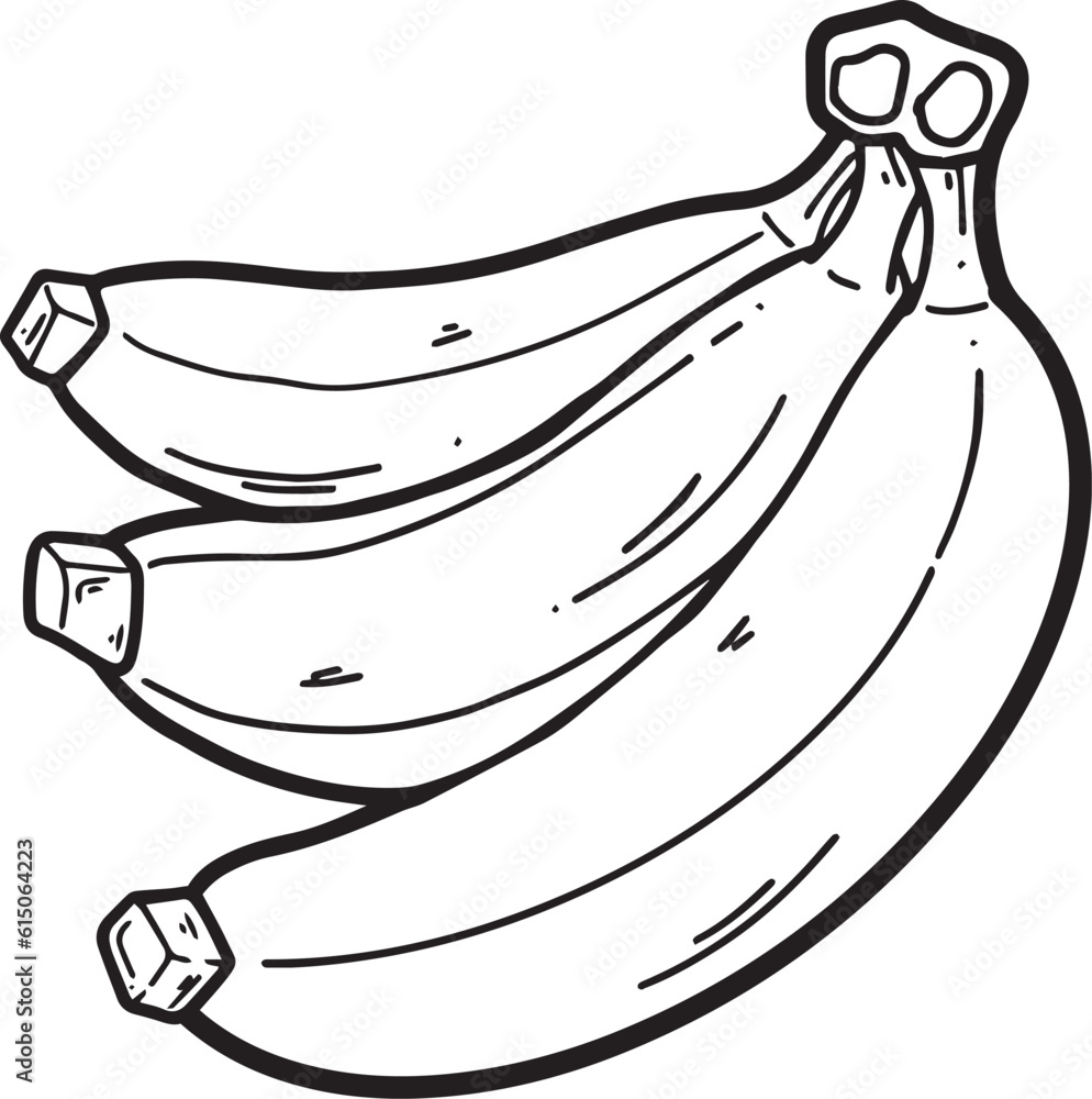 Banana fruit icon Hand drawn Outline Simple vector illustration 