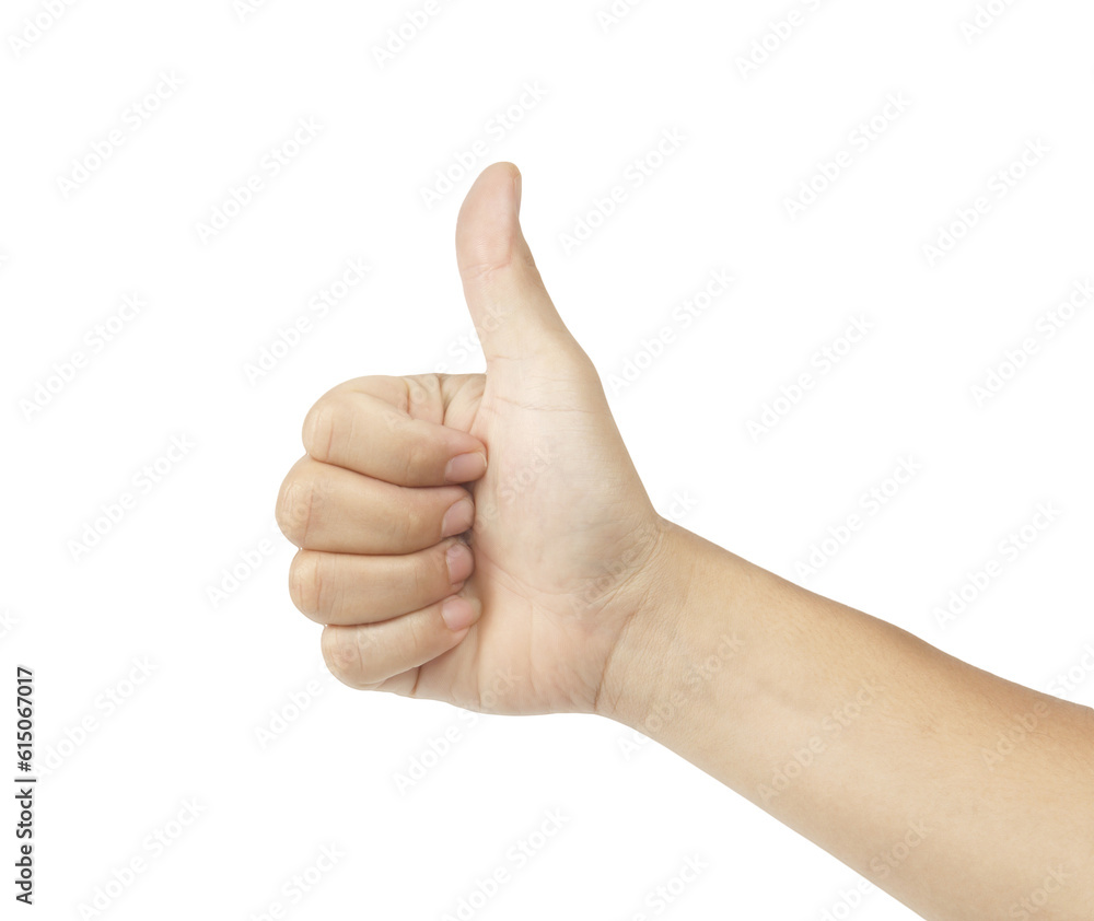 Hand isolated on white background PNG. Hand isolated on white background PNG.