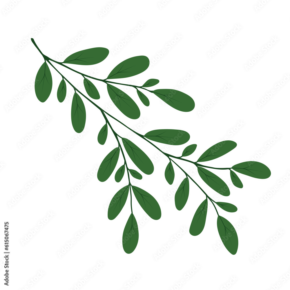 A single isolated twig with leaves on a white background