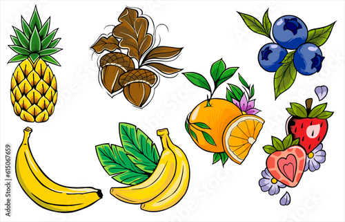 vector illustration design of various kinds set of fruits