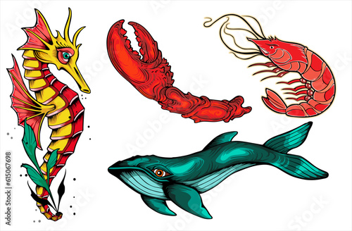 vector illustration design of various marine animals