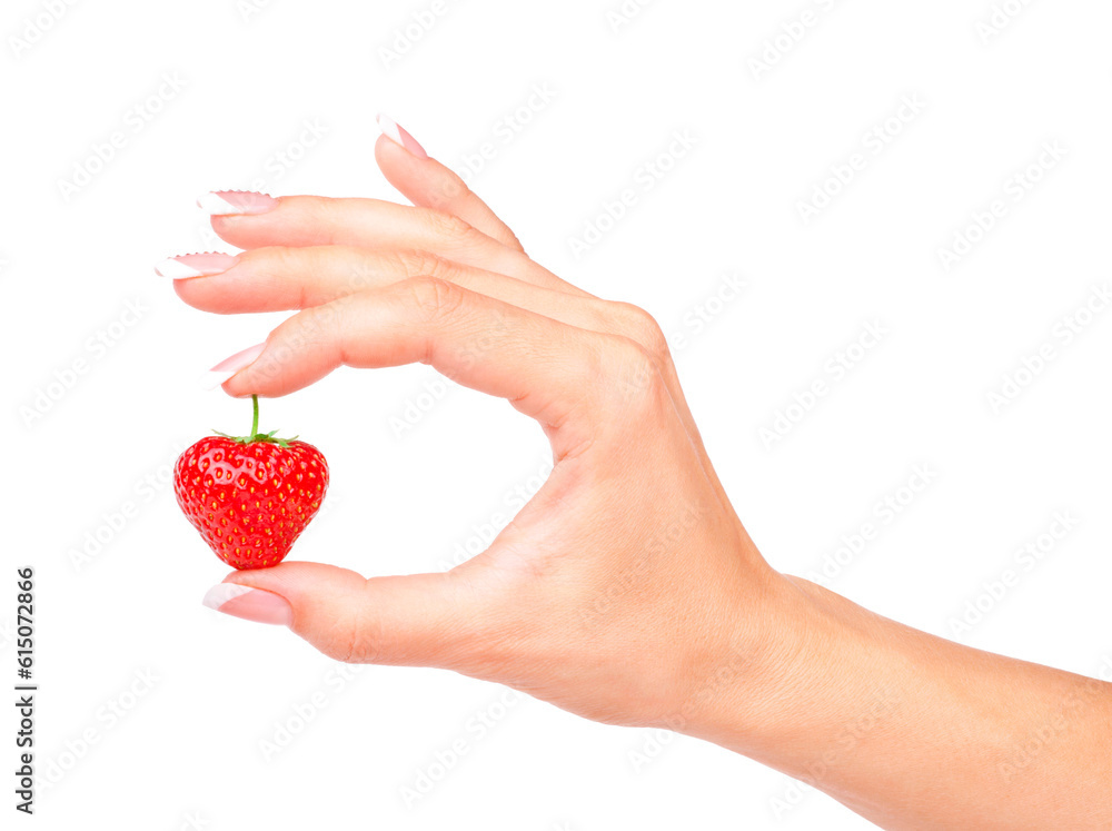 Strawberry in the woman's hand isolated on white background. Strawberry in the woman's hand isolated on white background.
