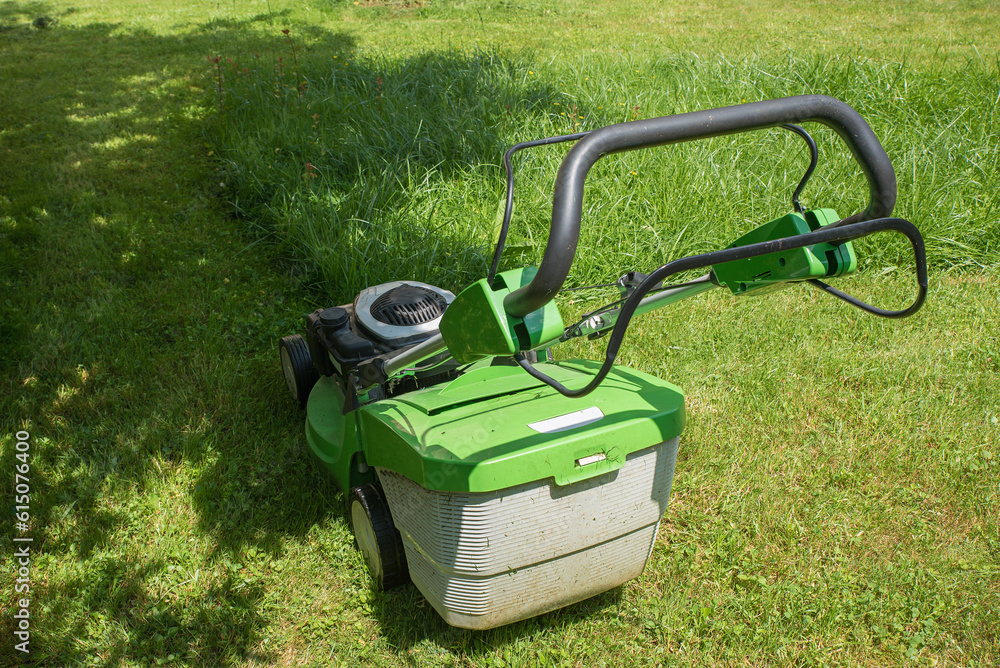 Fototapeta premium mowing the grass in the home garden with a gas lawnmower