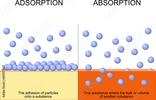 Difference between adsorption and absorption