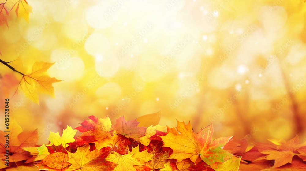 Fototapeta premium Colorful universal natural autumn background for design with orange leaves and blurred background.