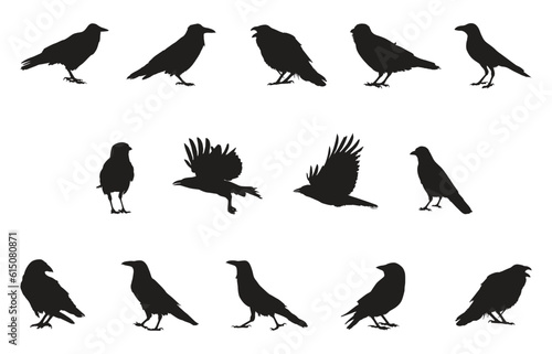 Set of silhouettes of crow birds vector illustration
