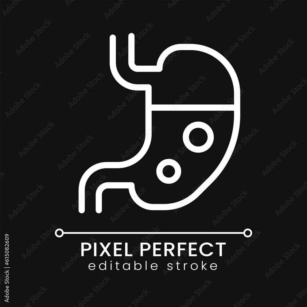 Stomach pixel perfect white linear icon for dark theme. Digestive system. Inner human organ. Medical checkup. Thin line illustration. Isolated symbol for night mode. Editable stroke. Poppins font used Stomach pixel perfect white linear icon for dark theme. Digestive system. Inner human organ. Medical checkup. Thin line illustration. Isolated symbol for night mode. Editable stroke. Poppins font used