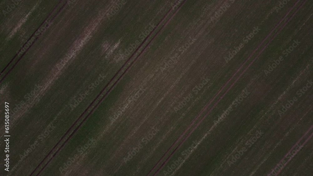 Top down aerial view of a green meadow nature preserve pasture in Brandenburg Germany Top down aerial view of a green meadow nature preserve pasture in Brandenburg Germany
