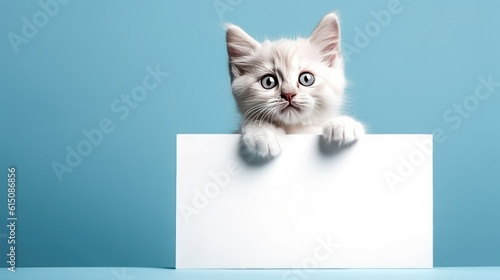 Realistic Blue Cat with Blank Sign - Ultra Hyper Image
