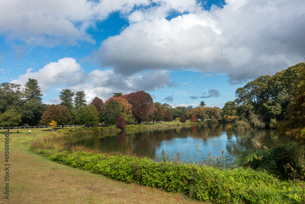 Autumn landscape overlooking the Willow Pond, in Centennial Park, Sydney, Australia. Tranquil scene with clouds in the sky, colored trees reflecting on the water and people in the distance.