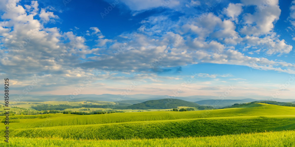 natural panoramic summer landscape, beautiful green fields in the hilly area in the early morning with blue sky and clouds. AI generated.