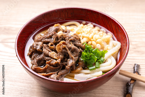 Quadro su tela 肉うどん