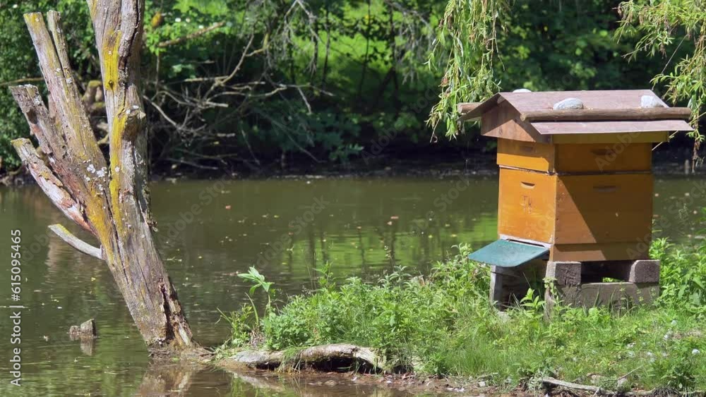 Bienenstock, Bienenkasten an einem Weiher Bienenstock, Bienenkasten an einem Weiher