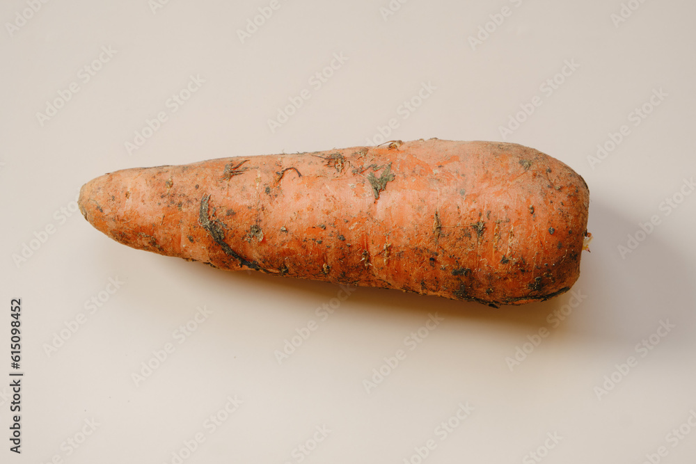 Large unwashed carrot on a beige background. Large unwashed carrot on a beige background.