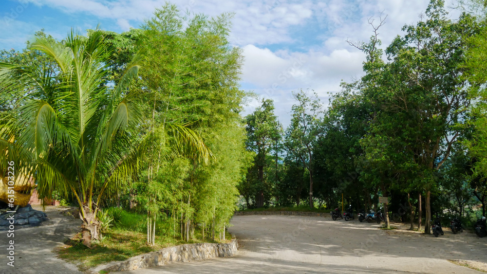 Beautiful tree lined road on hill with clear cloudy sky on Bangka island, Indonesia
