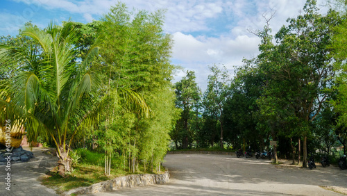 Beautiful tree lined road on hill with clear cloudy sky on Bangka island  Indonesia