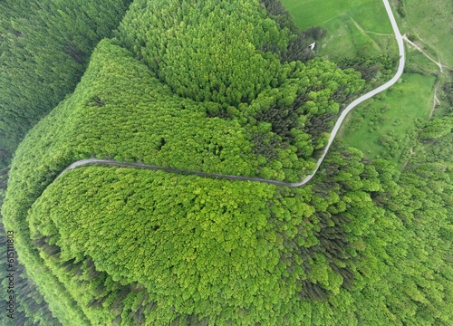 asphalt road through the spring forest, aerial view