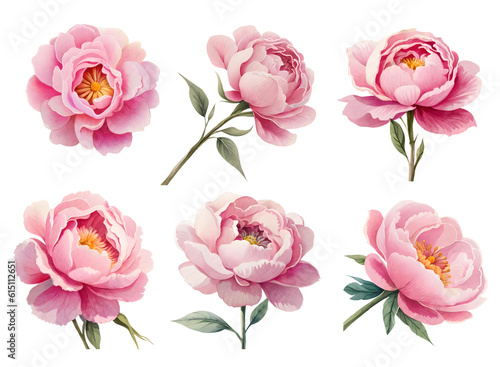 Fototapeta Naklejka Na Ścianę i Meble -  Watercolor pink peony bud set. Generative Ai