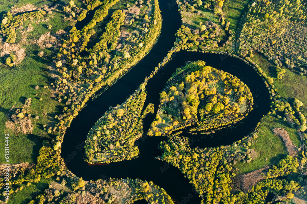 Aerial View Green Forest Woods And River Landscape In Sunny Spring Summer Day. Top View Of Nature, Bird's Eye View. Trees Standing In Water During Spring Flood floodwaters. woods in Water deluge