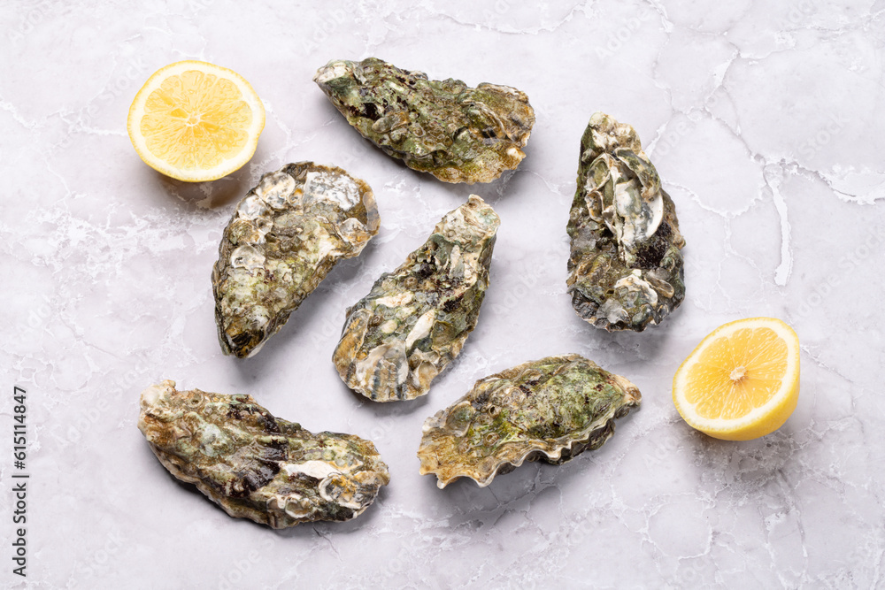 Fresh oysters and lemons Fresh oysters and lemons