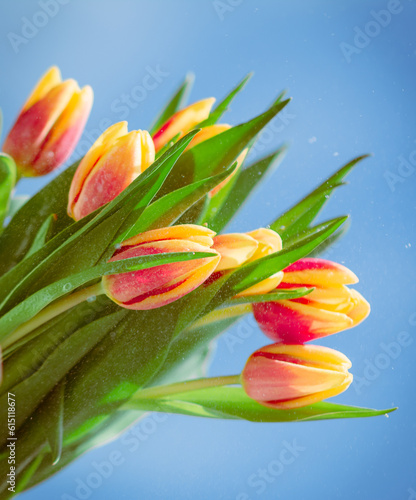 die Blume in hende, flowers in hand photo