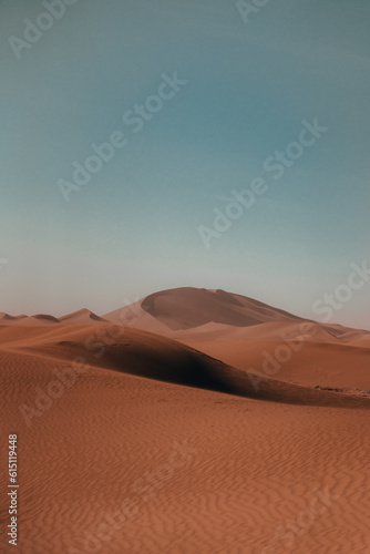 Sunlit sand dunes: A golden expanse shaped by wind, an oasis of tranquility and timeless allure under the radiant sun.