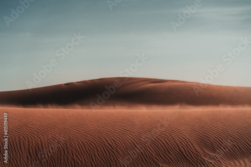 Nature's masterpiece: Intricate patterns sculpted by wind upon the desert sands, a captivating display of rhythmic curves and delicate ripples.