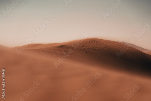 Nature's masterpiece: Intricate patterns sculpted by wind upon the desert sands, a captivating display of rhythmic curves and delicate ripples.