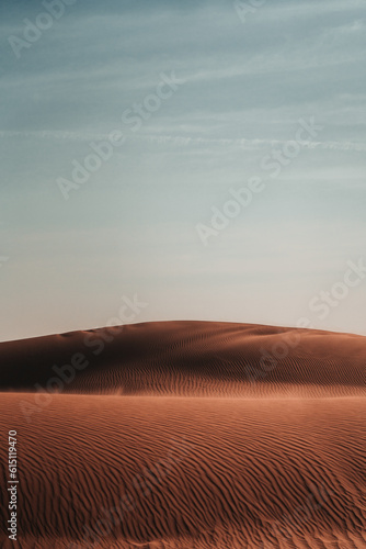 Fototapeta Naklejka Na Ścianę i Meble -  Nature's masterpiece: Intricate patterns sculpted by wind upon the desert sands, a captivating display of rhythmic curves and delicate ripples.