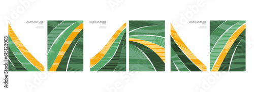 Agriculture farm green poster design. Organic abstract field vector background. Agro landscape flyer. Agri business template. Eco farmland illustration set. Organic pattern card. Summer nature cover