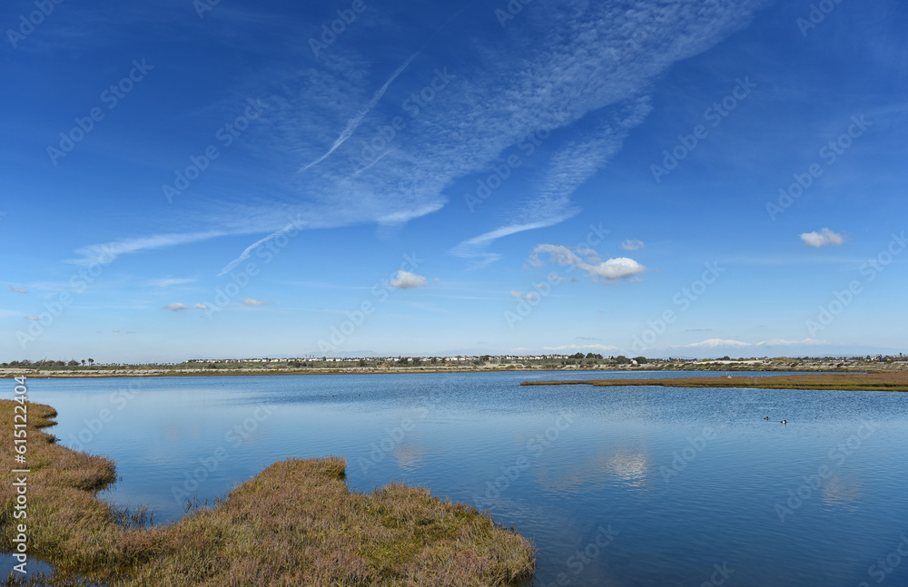 Marsh grasses at the Bolsa Chica Wetlands in Huntington Beach, California, with a cloud streaked blue sky.