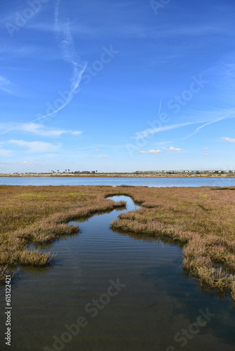 Marsh grasses at the Bolsa Chica Wetlands in Huntington Beach, California, with a cloud streaked blue sky. photo