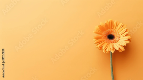 Minimalist orange gerbera background with copy space.