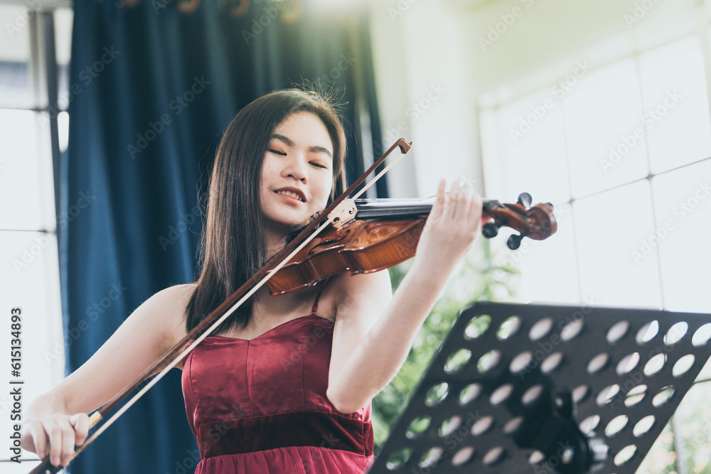 Violinist woman : Portrait of a young female playing the violin. Violinist woman : Portrait of a young female playing the violin.
