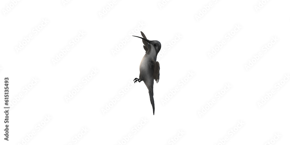 Humming Bird isolated on a Transparent Background Humming Bird isolated on a Transparent Background