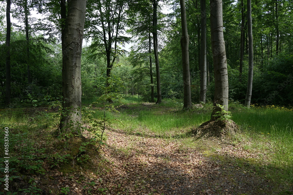 Masyw Trójgarbu, Polska
