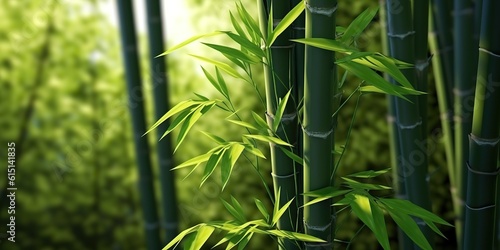 AI Generated. AI Generative. Eco green leaf plant tree bamboo. Asian Japan Chinese culture tradition vibe. Graphic Art