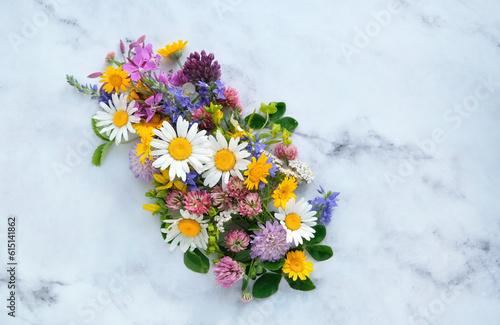 Floral summer background. colorful meadow wild flowers and leaves on abstract marble backdrop. Floral arrangement. Summer garden,  Botanica, Nature concept. Minimal style. element for design. Top view