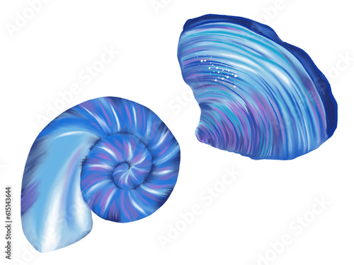 Seashell Shellfish Blue color elements on white background illustration