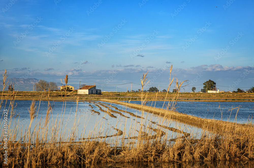 Φωτογραφία The Ebro Delta is a big wetland area and a unique natural region located in Spain