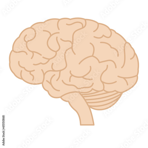 The human brain in profile. Minimal illustration with meanders. Vector 